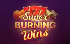 Игровой автомат Burning Wins